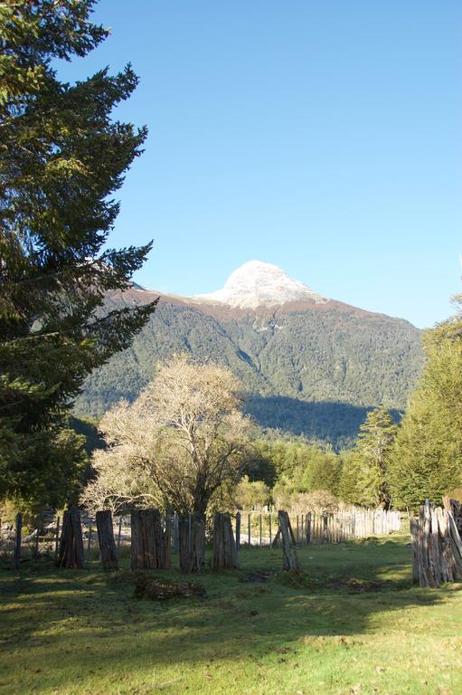 Casa Campo Carretera Austral Puerto Cisnes Zewnętrze zdjęcie